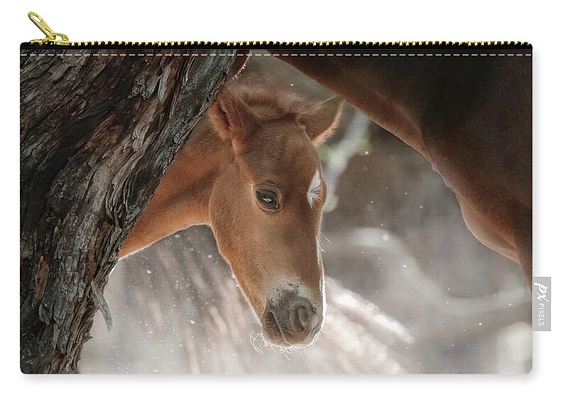 Stallion Carry-all Pouch featuring the photograph A Timid Peek. by Paul Martin
