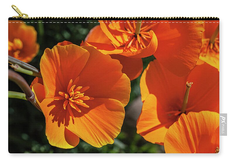 Poppy Zip Pouch featuring the photograph A Touch of Orange by Ryan Huebel