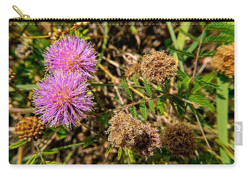 Weeds Zip Pouch featuring the photograph A Visit To That Little Place by Ivars Vilums