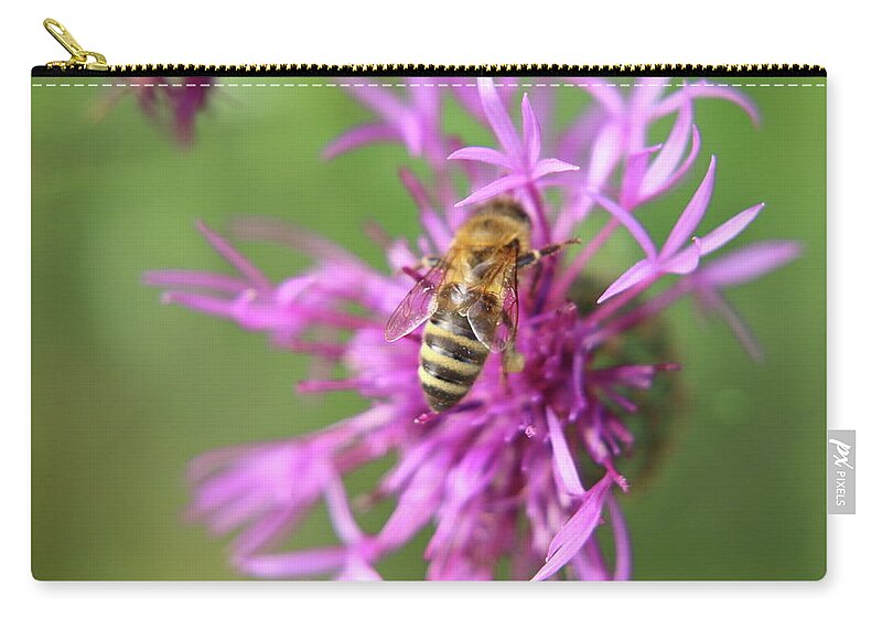 Bee Zip Pouch featuring the photograph A Western honey bee pollinating red clover in Slovakia grassland by Vaclav Sonnek