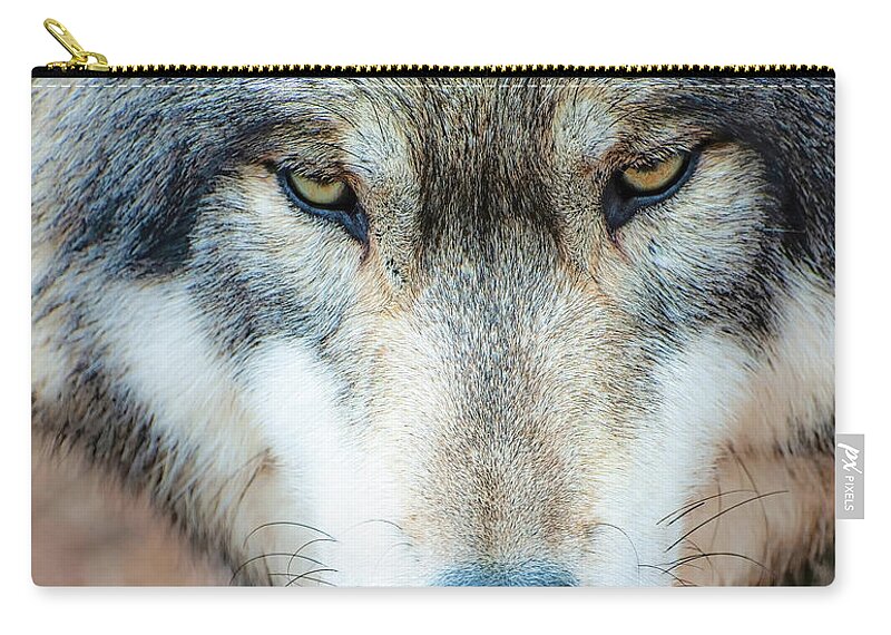 Wolf Zip Pouch featuring the photograph A Wolf's Intimidating Stare by Gary Slawsky