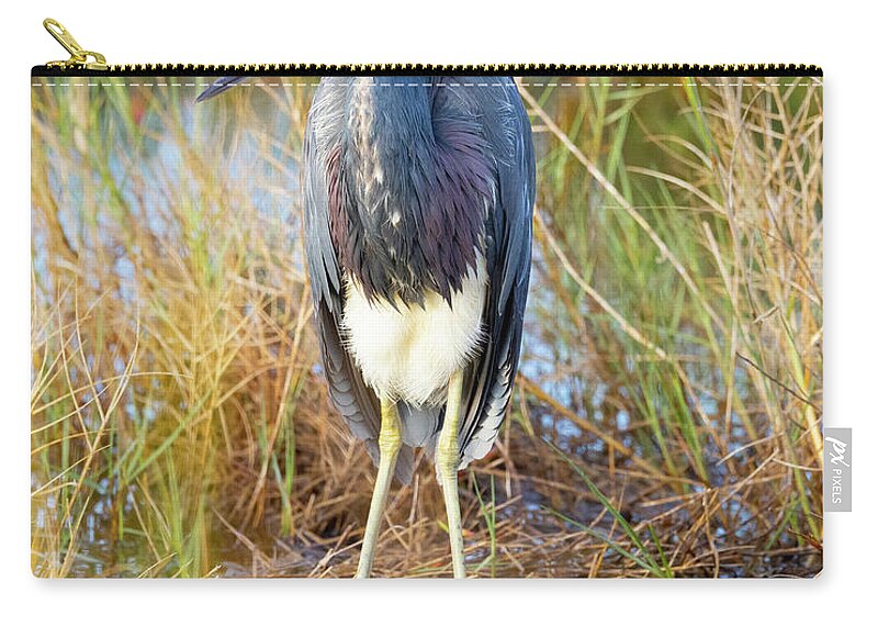 R5-2607 Carry-all Pouch featuring the photograph A young blue heron by Gordon Elwell