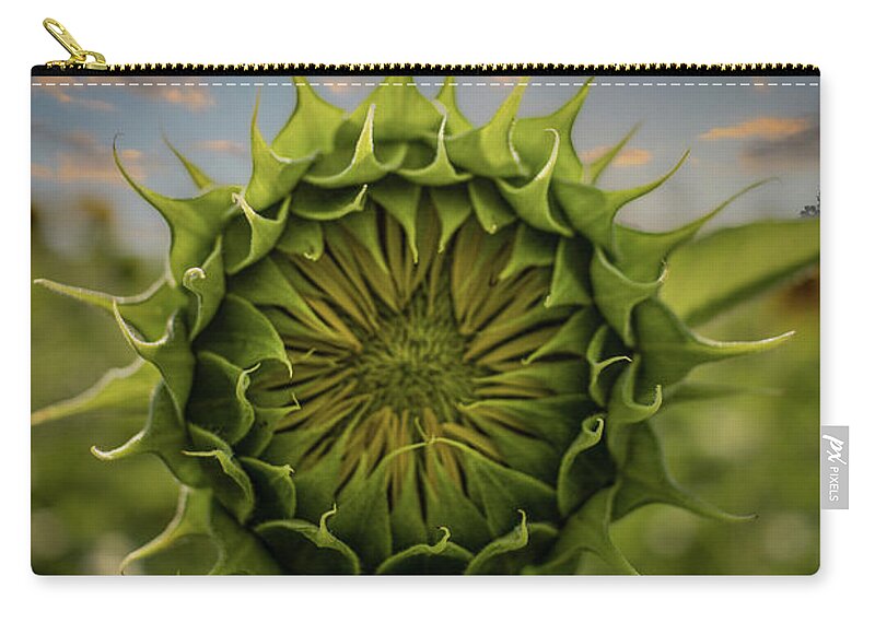 Sunflower Carry-all Pouch featuring the photograph About To Pop Out by Rick Nelson
