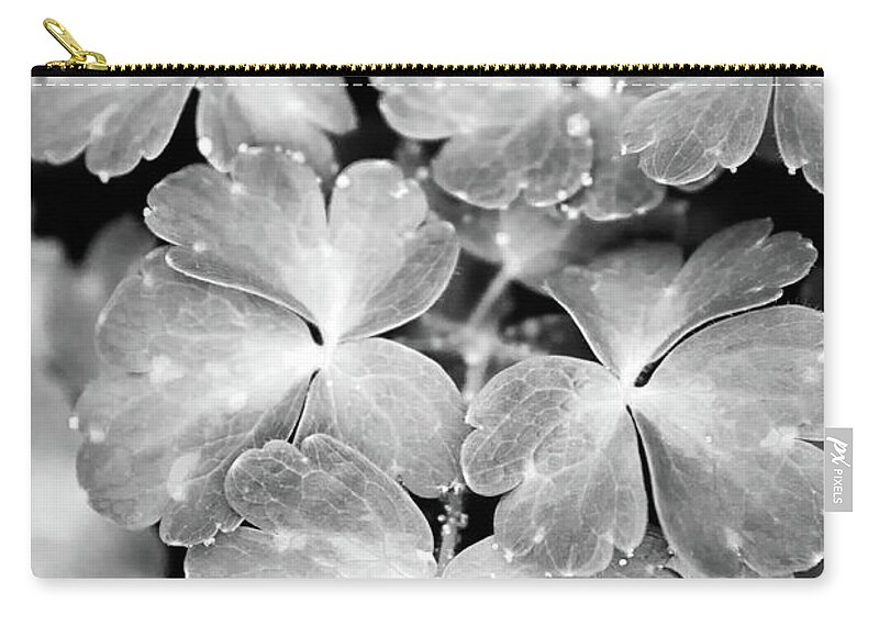 Abstract Leaves Zip Pouch featuring the photograph Abstract Leaves Black and White by Christina Rollo