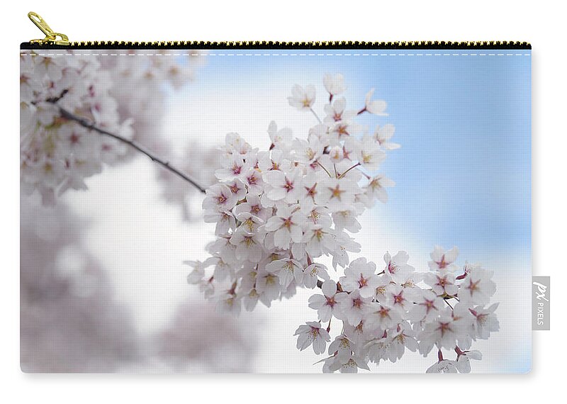 Jenny Rainbow Fine Art Photography Zip Pouch featuring the photograph Abundant Blooms of Yoshino Cherry - Clusters of Flowers 2 by Jenny Rainbow