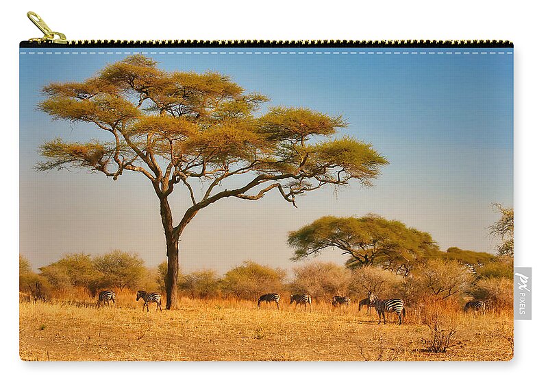 Africa Zip Pouch featuring the photograph Acacia Tree and Zebras by Bruce Block