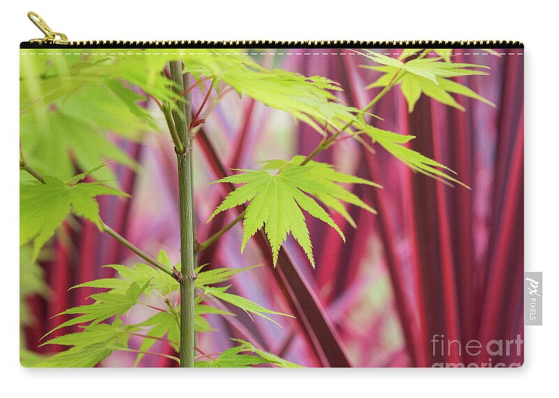Acer Zip Pouch featuring the photograph Acer Shirasawanum Jordon Foliage by Tim Gainey