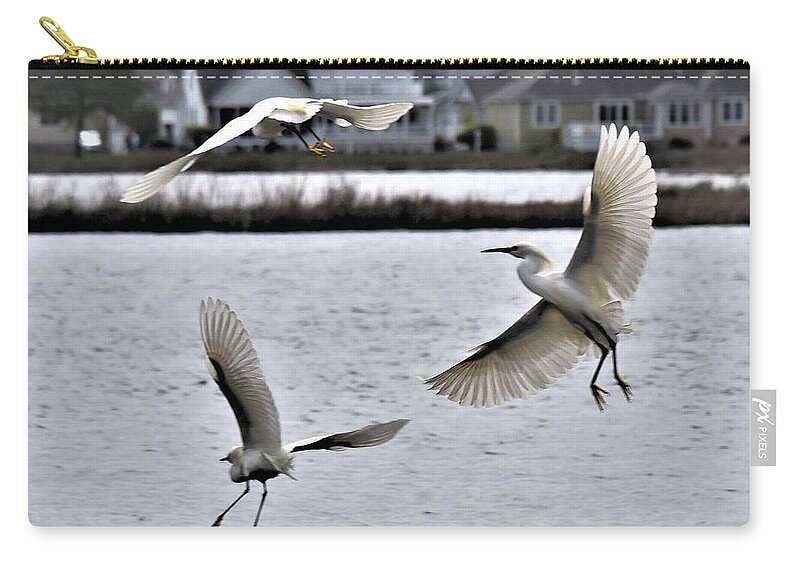 Egrets Zip Pouch featuring the photograph Acrobats by Kim Bemis