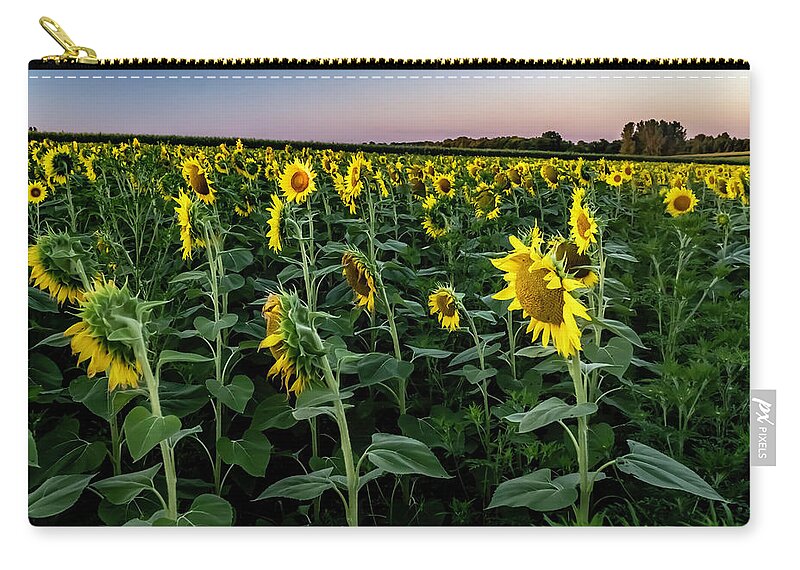 Sun Flowers Zip Pouch featuring the photograph Across a field of Sun Flowers by Sven Brogren