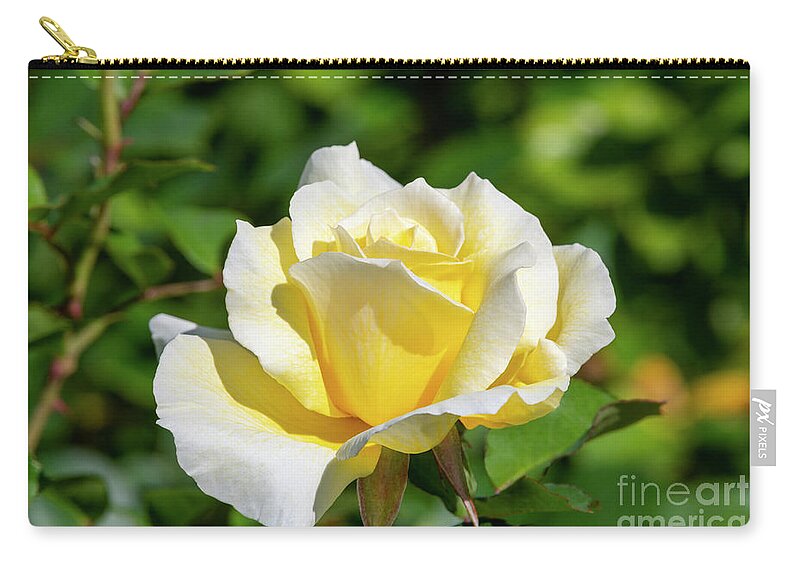 Adobe Sunrise Zip Pouch featuring the photograph Adobe Sunrise Rose, 5404 by Glenn Franco Simmons