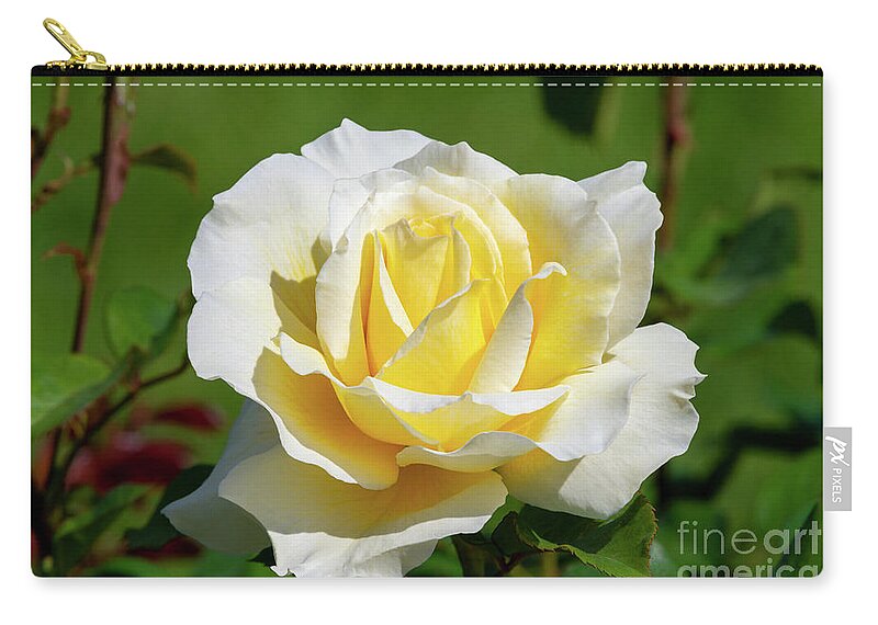 Adobe Sunrise Zip Pouch featuring the photograph Adobe Sunrise Rose, 5418 by Glenn Franco Simmons
