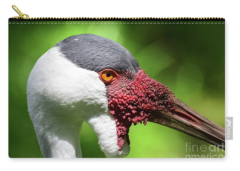 Bird Zip Pouch featuring the photograph African Crane by Ed Stokes