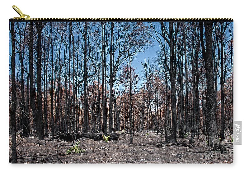 Bridgetown Zip Pouch featuring the photograph After the Fire - Regeneration by Elaine Teague