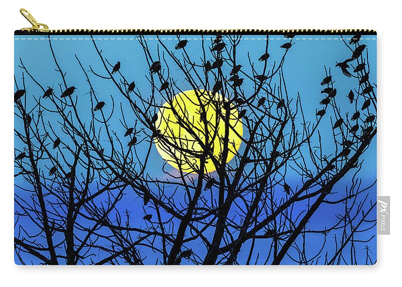 Landscape Zip Pouch featuring the photograph After the Leaves Fall by Bob Orsillo