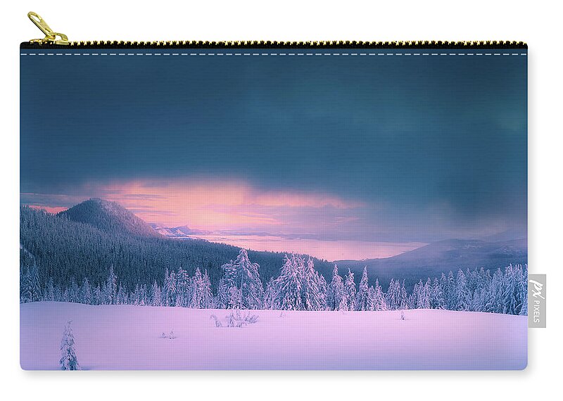 Winter Zip Pouch featuring the photograph After Winter Storm by Henry w Liu