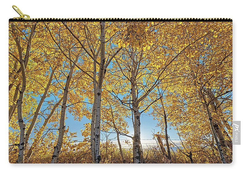 Landscape Zip Pouch featuring the photograph Alberta Autumn Morning by Dan Jurak