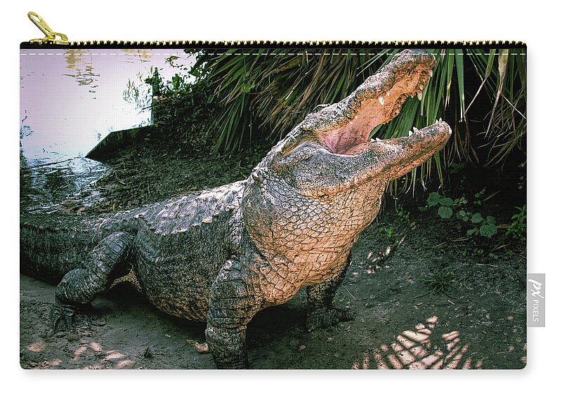 Alligator Carry-all Pouch featuring the photograph Alligator by Carolyn Hutchins