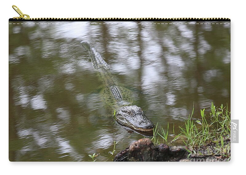 Avery Island Zip Pouch featuring the photograph Alligator Swamps Avery Island Louisiana by Chuck Kuhn