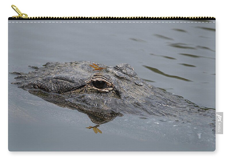 Alligator Carry-all Pouch featuring the photograph Alligator with Dragonfly by Carolyn Hutchins