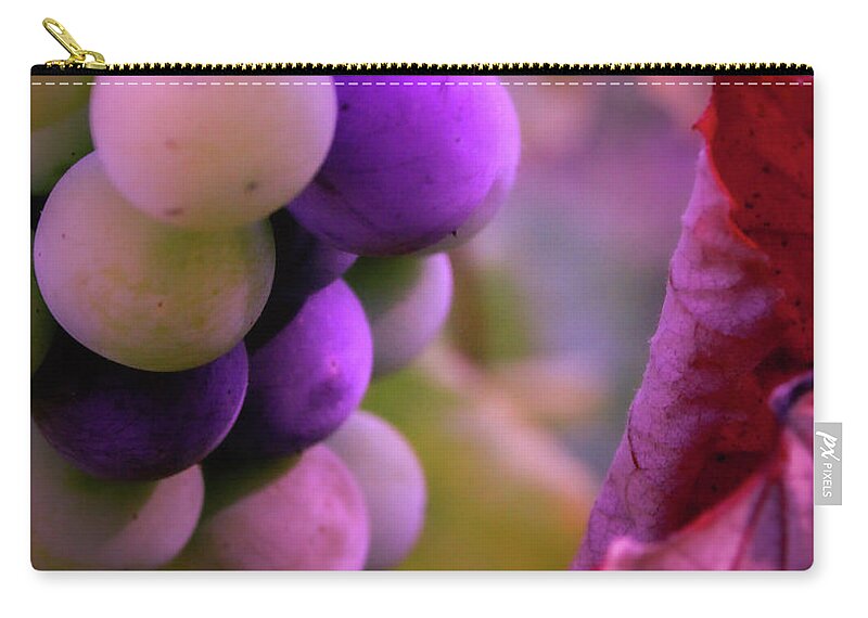 Grapes Zip Pouch featuring the photograph Almost Ripe Grapes by Sally Bauer