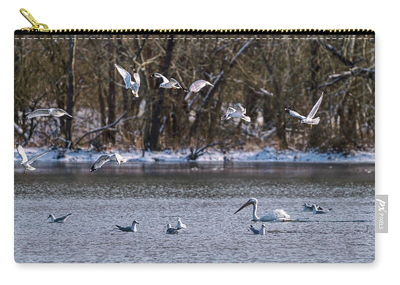American White Pelican Zip Pouch featuring the photograph Alone In The Crowd by Jennifer White