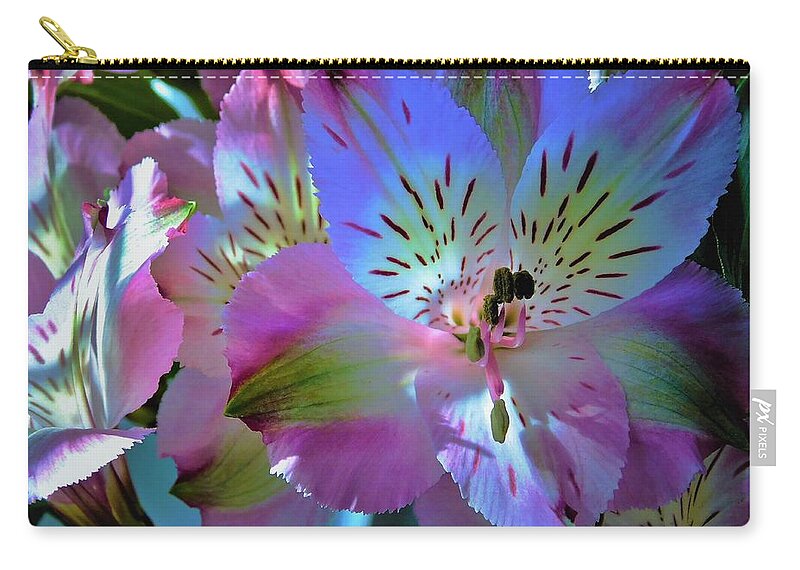 - Alstroemeria 1 Zip Pouch featuring the photograph - Alstroemeria 1 by THERESA Nye