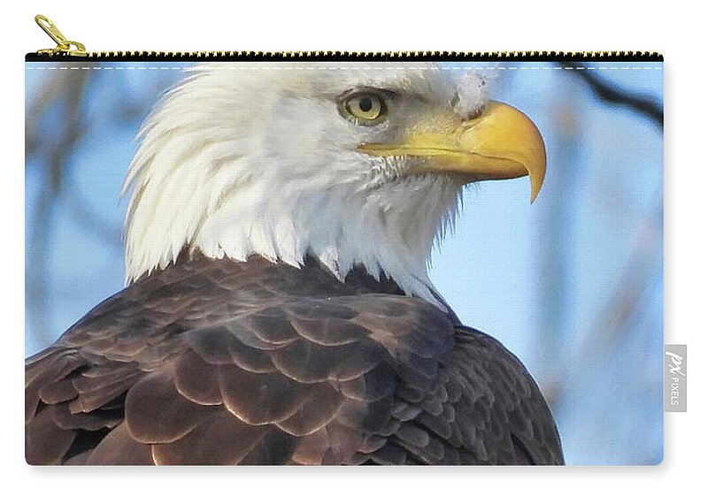 American Bald Eagle Carry-all Pouch featuring the photograph Always Alert by Jack Wilson