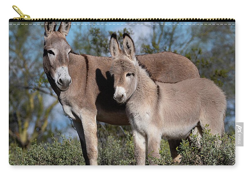 Wild Burros Zip Pouch featuring the photograph Always watching by Mary Hone