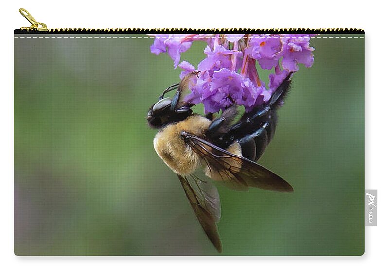 Bush Zip Pouch featuring the photograph Always Working by Gina Fitzhugh