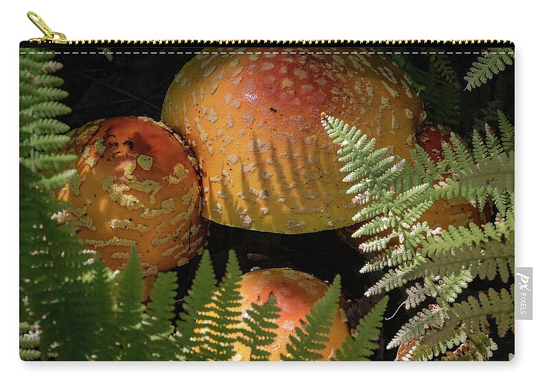 Maine Zip Pouch featuring the photograph Amanita Fungi by Norman Reid