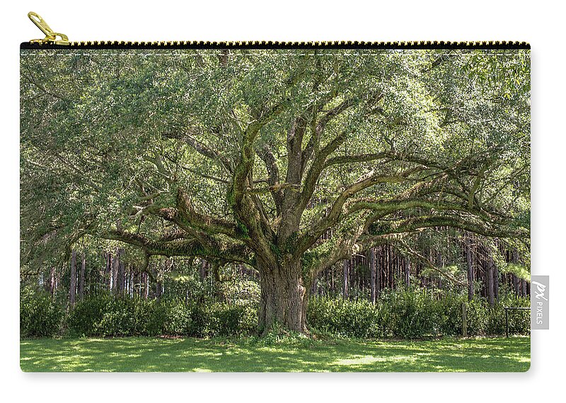 Canopy Zip Pouch featuring the photograph Amazing Canopy by Debra Kewley