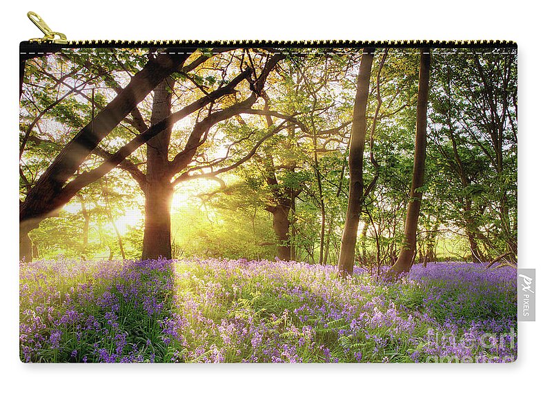 Norfolk Zip Pouch featuring the photograph Norfolk sunrise in bluebell forest England by Simon Bratt