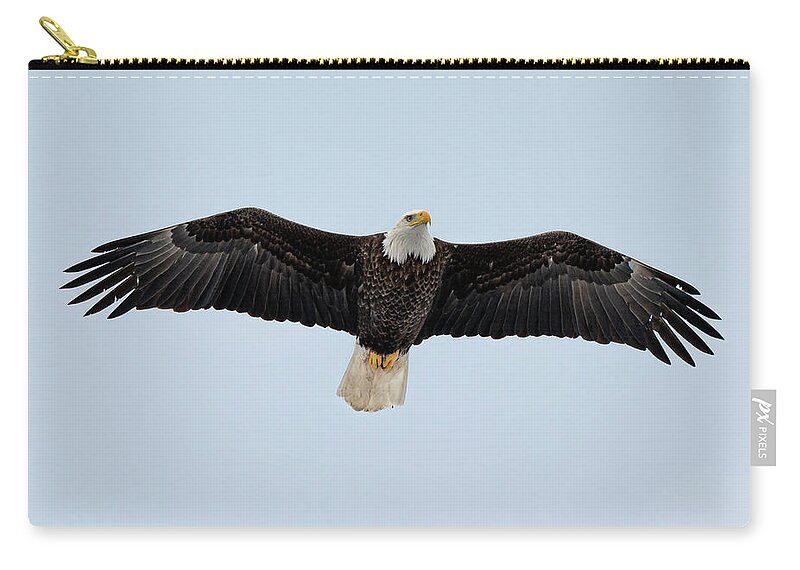 Hastings-on-hudson Zip Pouch featuring the photograph American Bald Eagle by Kevin Suttlehan