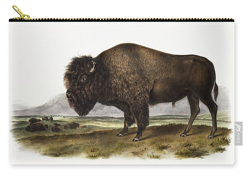American Animals Zip Pouch featuring the mixed media American Bison. John Woodhouse Audubon by World Art Collective