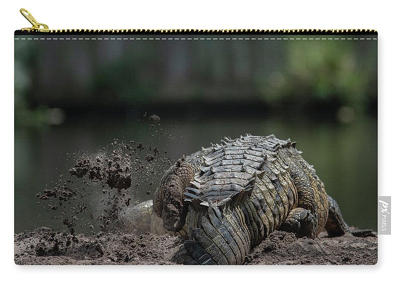 Crocodile Zip Pouch featuring the photograph American Crocodile by Carolyn Hutchins