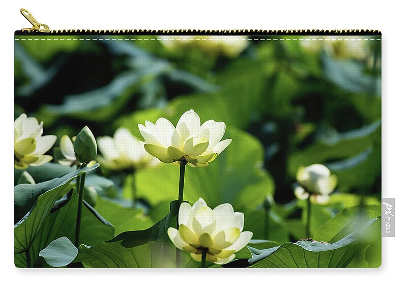 Lotus Zip Pouch featuring the photograph American Lotus by Rose Guinther