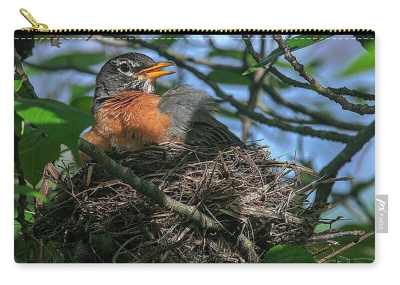 Nature Carry-all Pouch featuring the photograph American Robin Sitting on Nest DSB0369 by Gerry Gantt
