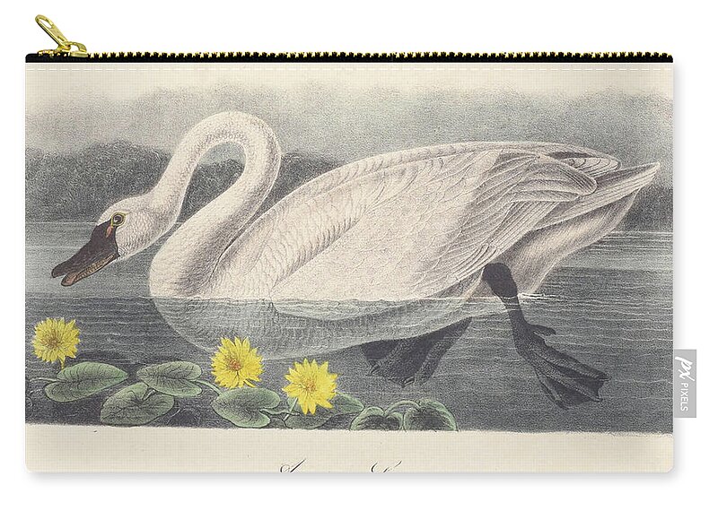 Swan Zip Pouch featuring the digital art American Swan c. 1840 by Kim Kent