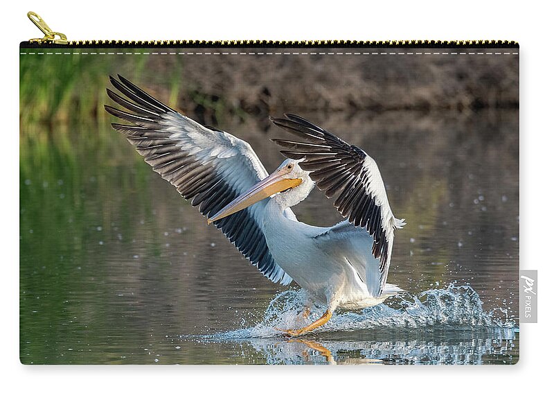 American White Pelican Zip Pouch featuring the photograph American White Pelican 0013-102221-2 by Tam Ryan