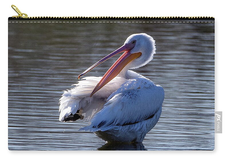 American White Pelican Zip Pouch featuring the photograph American White Pelican 6798-031423-2 by Tam Ryan