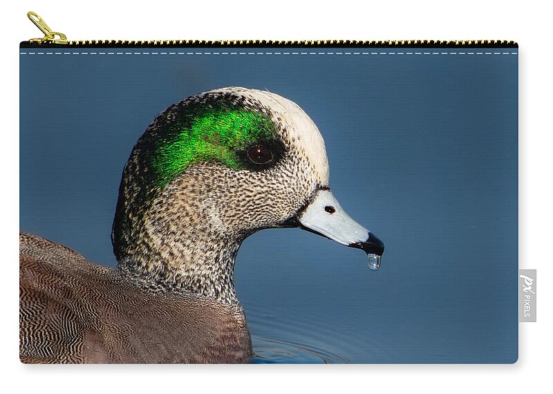 American Wigeon Zip Pouch featuring the photograph American Wigeon by Bonny Puckett