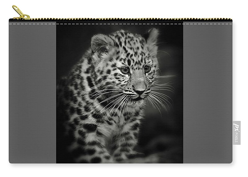 Amur Zip Pouch featuring the photograph Amur Leopard Cub - Sepia by Chris Boulton