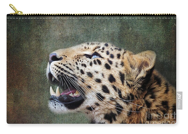 Leopard Zip Pouch featuring the photograph Amur leopard looking up. iIndigenous to southeastern Russia and northeast China, and listed as Critically Endangered. Processed to look like an old painting. by Jane Rix
