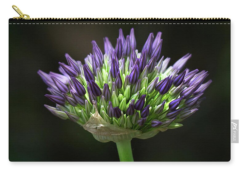 Allium Zip Pouch featuring the photograph An Allium at first bloom by Sylvia Goldkranz