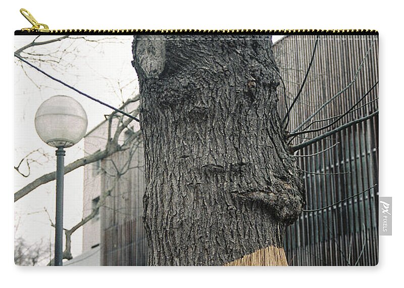 Tree Zip Pouch featuring the photograph An almost human tree by Barthelemy De Mazenod