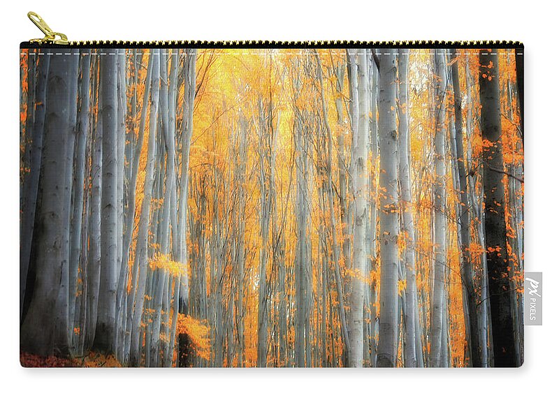 Autumn Zip Pouch featuring the photograph An Autumn in the Forest by Philippe Sainte-Laudy