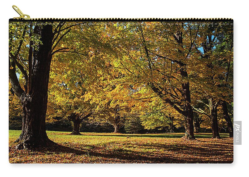 Hamilton Zip Pouch featuring the photograph An explosion of Fall in Hamilton Massachusetts Yellow trees by Toby McGuire