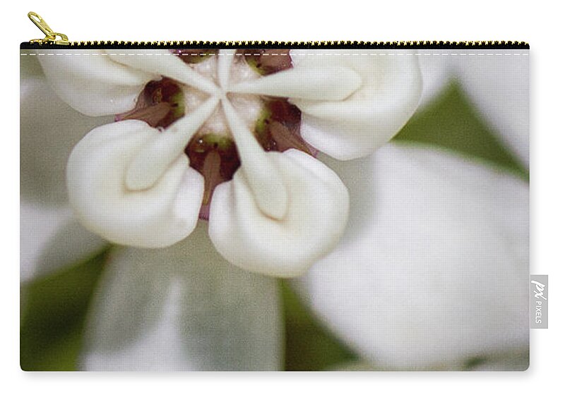 Wild Milkweed Zip Pouch featuring the photograph An Intimate Look at Wild Milkweed by Bob Decker