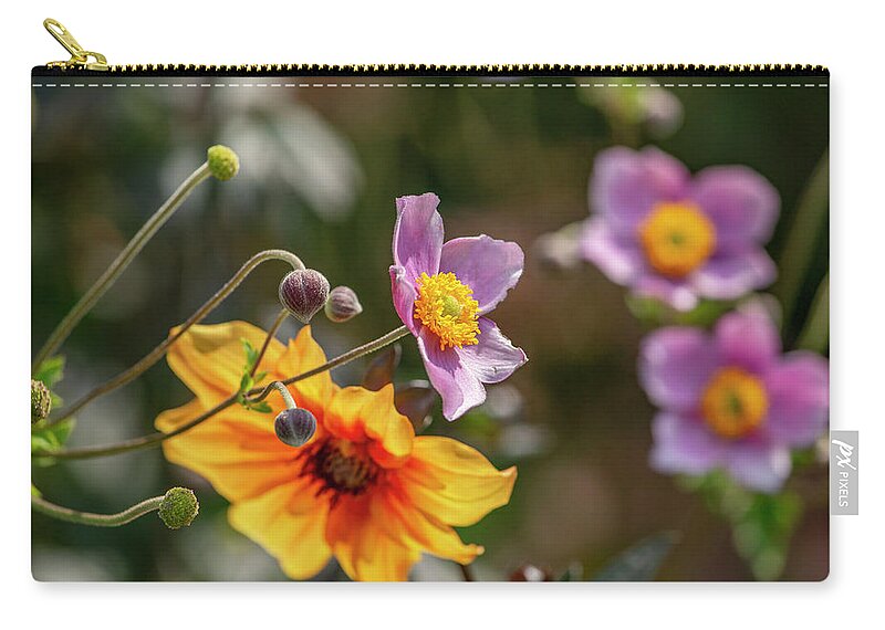Anemone Flower Zip Pouch featuring the photograph Anemone Flowers by Cate Franklyn