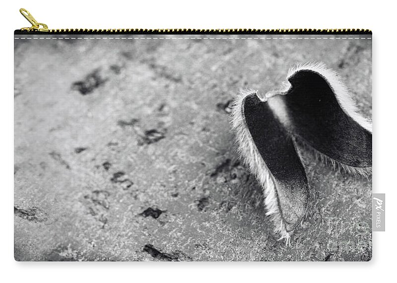 Angel; Wings; Seed Pod; Calm; Zip Pouch featuring the photograph Angel Wings Black and White by Tina Uihlein